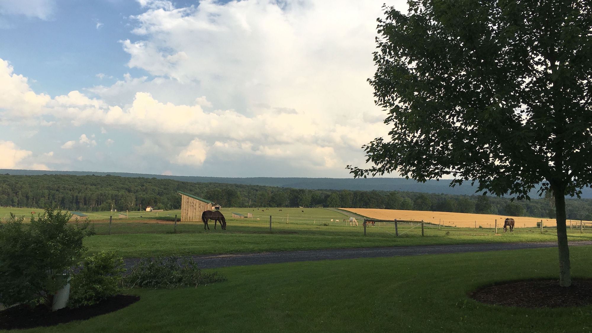 farm panorama